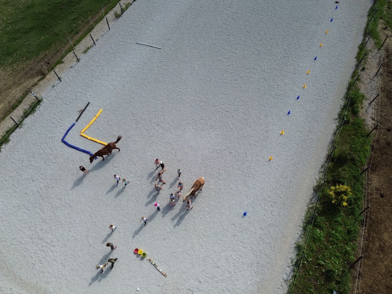 Bodenarbeit am Reitplatz