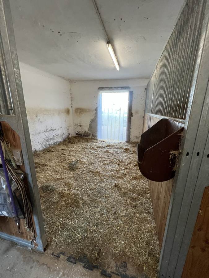 Box mit Tür nach draußen und Futtertrog