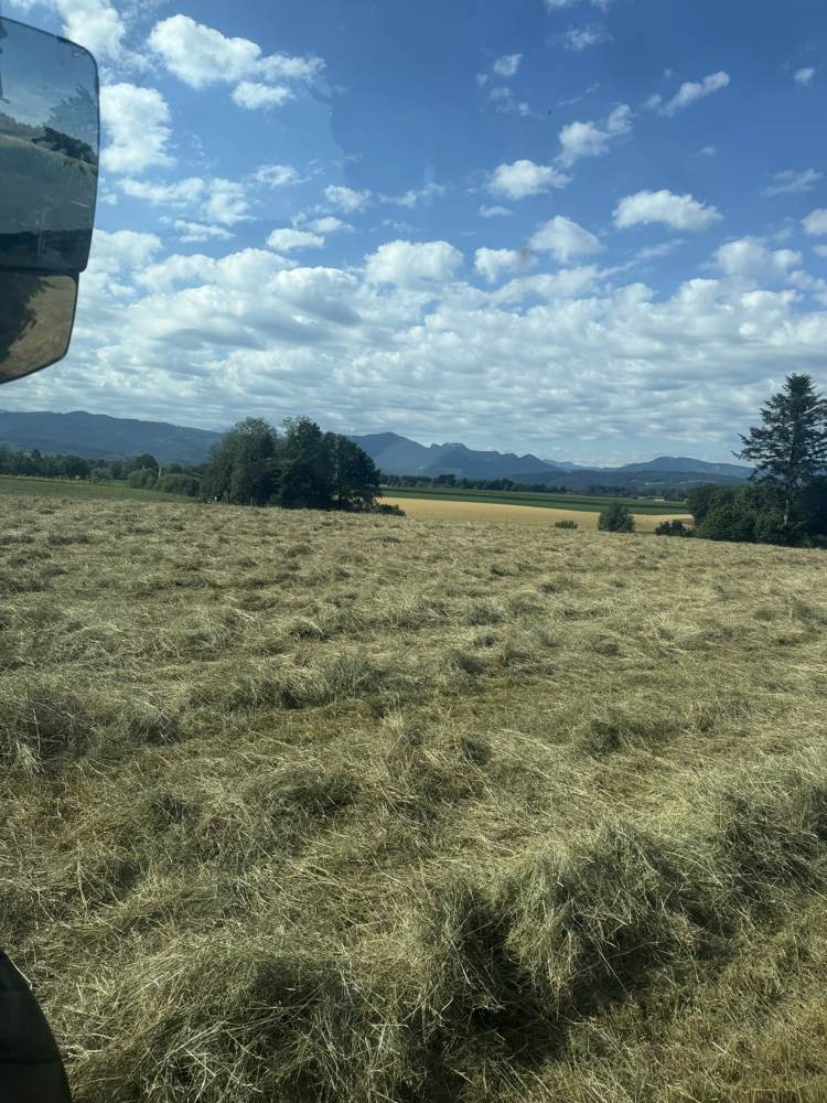 Gewendetes Heu auf dem Feld unter Wolkenhimmel