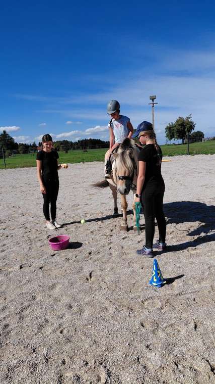 Spielerisch lernen am Reitplatz