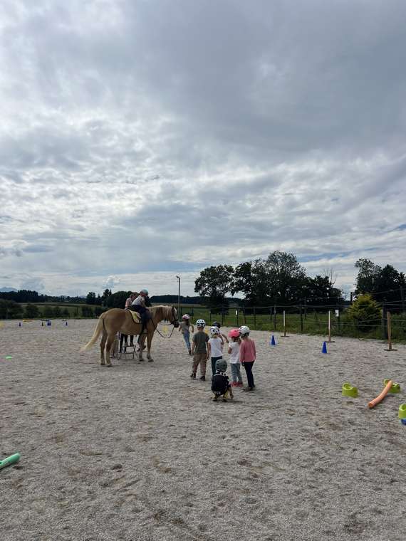 Kleine Reiter auf dem Reitplatz