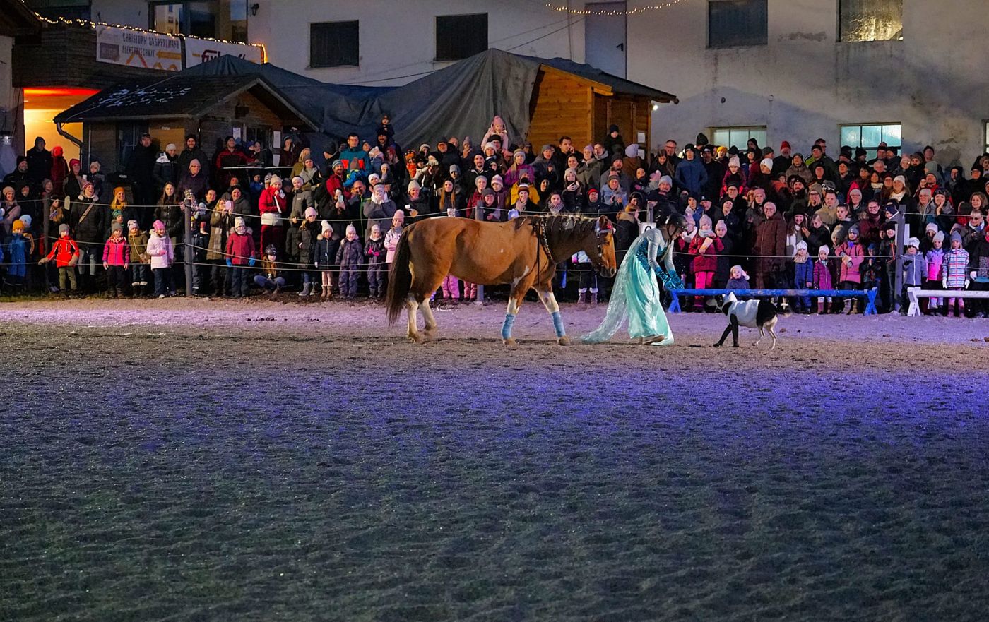 Showeinlage mit Pferd vor vollen Rängen