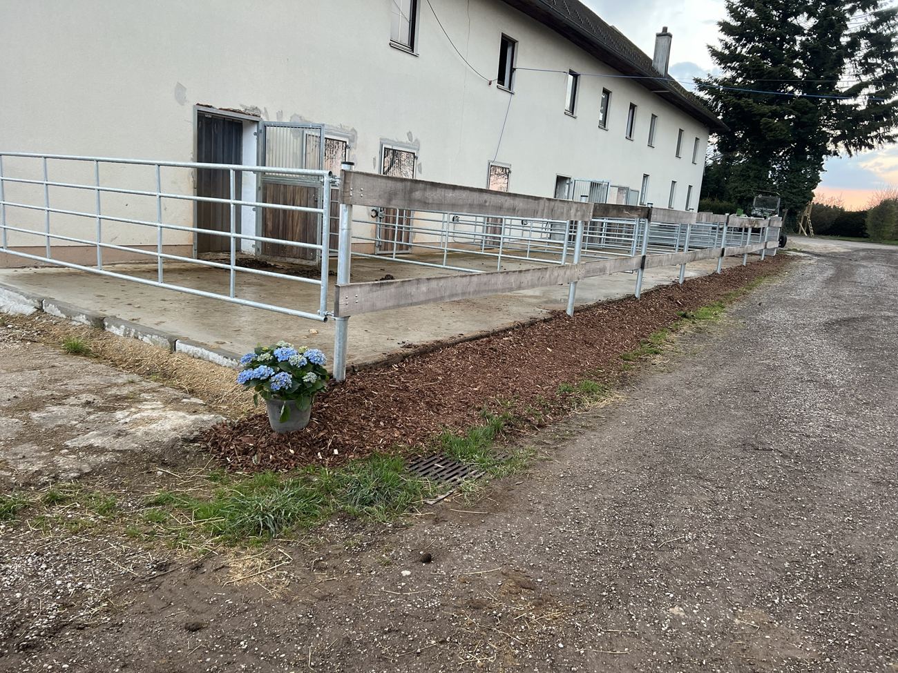 Stallboxen mit Paddock
