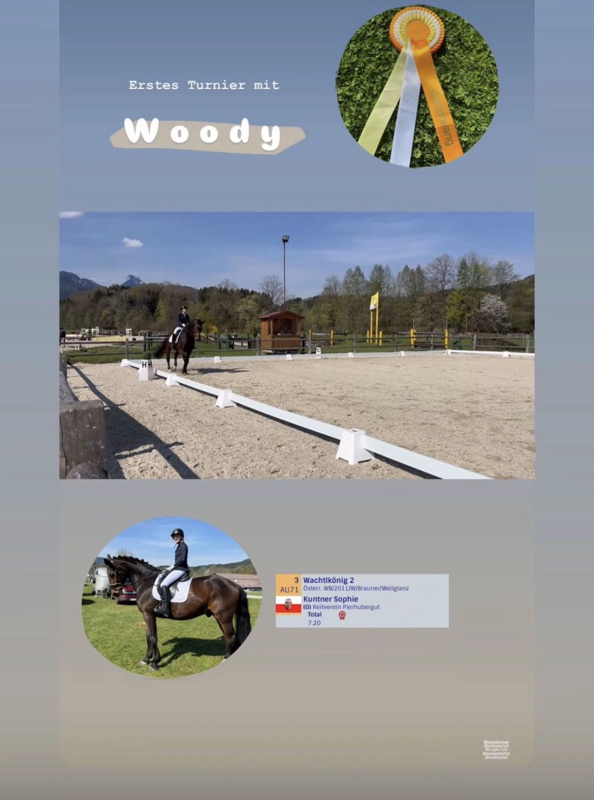 Erstes Turnier mit Woody in Vichtwang: Schleife, Dressurviereck und Ergebnis